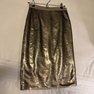 Banana Republic Silver Sequin Pencil Skirt